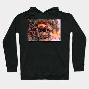 Squinting Eye of the Lagoon Hoodie